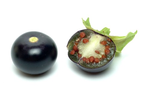 Food, fruit, black Jaltomata, Jaltomata procumbens is a plant species from the genus Jaltomata in