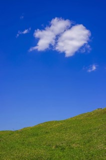 Mountain meadow, near Oberstdorf, Allgäu, Bavaria, Germany