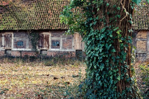 View of an abandoned farm with a farm in front of it in the evening light, Otersen, Kirchlinteln,