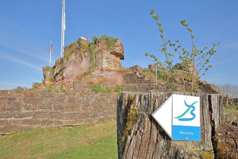 Hiking trail Bliessteig, symbol, sign, signpost, signpost, hiking, hiking, tree stump, rock, castle