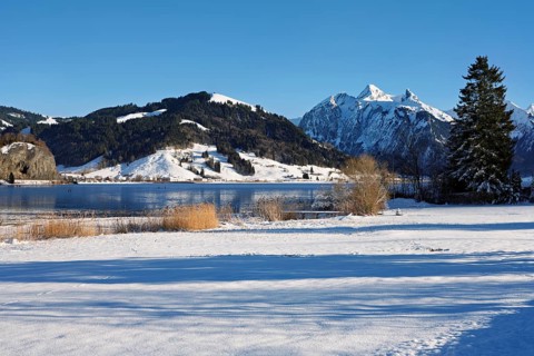 Frozen Sihlsee, reservoir, behind the snow-covered mountains Flübrig and Druesberg, Euthal, Canton