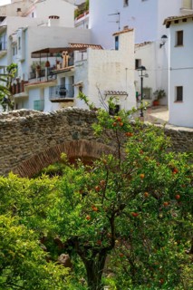 Historic Salares stone bridge at the foot of the Sierra Tejeda and orange tree in front of