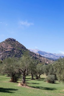 Byzantine ruined city of Mystras or Mistra on the Taygetos Mountains, UNESCO World Heritage Site,