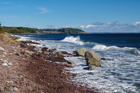 Rocks and waves on a coastline with blue sky and lush vegetation in the background, Tönsberg,