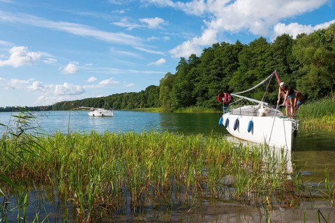 A boat lies on the shore of a lake with reeds in the foreground and forest in the background, Lake