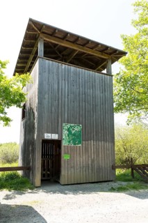 Observation tower in the Dubringer Moor nature reserve near Neudorf Klösterlich, Wittichenau,