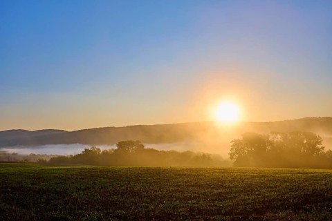 Sunrise over a foggy cornfield with forest, in the background hills under a clear sky, Großheubach,