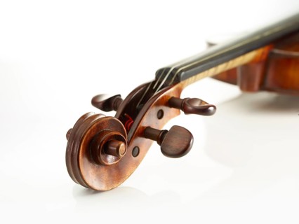 Violin, close-up