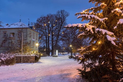 Christmas tree in front of the town hall, in the background the local history museum Karrasburg