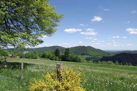 Landscape, Sky, Meadow, Colourful, Sauerland, North Rhine-Westphalia, Germany, Blooming meadows,