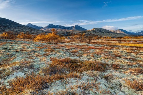 Autumn landscape in Rondane National Park, mountains Høgronden, Midtronden and Digerronden Dørålen,