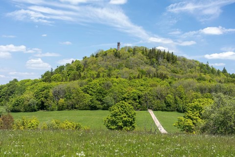 Geisingberg with observation tower, Altenberg, Osterzgebirge, Saxony, Germany