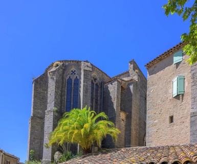 Palm tree in front of the Eglise de l'Assomption in Mourèze, Département Hérault, France