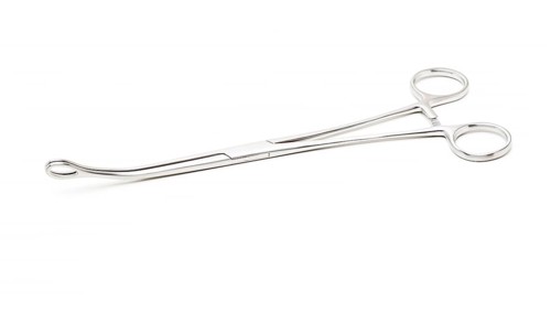 Stainless Steel Precision Surgical Medical Instrument Isolated on White Background