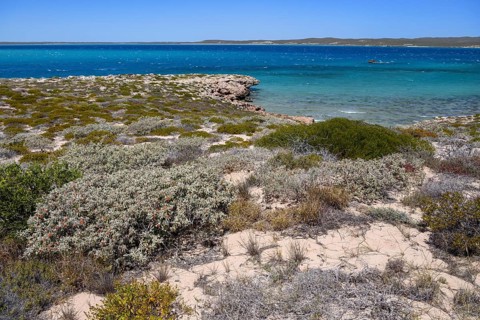 Landscape on Dirk Hartog Island, Dirk Hartog Island National Park, named after the Dutch navigator