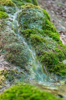 Natural phenomenon in the forest, stone channel of Roschlaub, Scheßlitz, Upper Franconia, Bavaria,