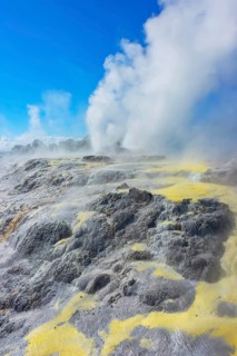 Prince of Wales and Pohutu geysers erupting, Te Puia Thermal Valley, Rotorua, Bay of Plenty, North
