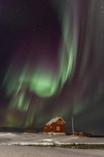 Green and violet northern lights over a red house on the coast, aurora borealis, winter, snow,