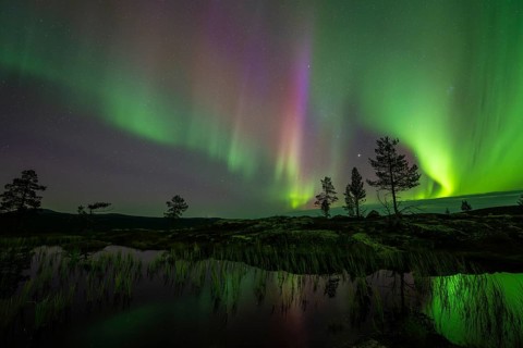 Northern Lights (Aurora borealis) reflected in a mountain lake, Norrbotten, Lapland, Sweden,