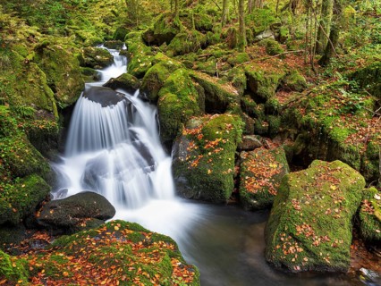 Cascades of the pond stream in the pond gorge in autumn, pond gorge waterfall, moss-covered rocks