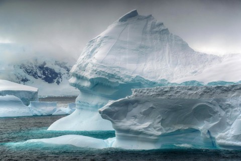 Antarctica, Wedell Sea, icebergs, South Georgia