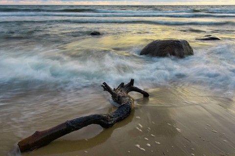 Evening on the chalk coast in Jasmund National Park, Rügen, Sassnitz, Mecklenburg-Western