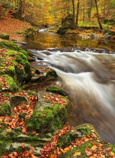 Geotope strudel pots, moss-covered rocks with colorful leaves on the Schwarza river surrounded by