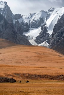 Rider in front of mountain landscape with yellow meadows, mountain peak, Keltan Mountains, Sary