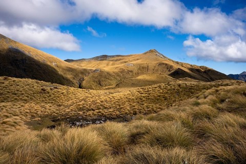 Mountain landscape, Mount Burns, Borland Road Area, Fiordland National Park, Southland Region,