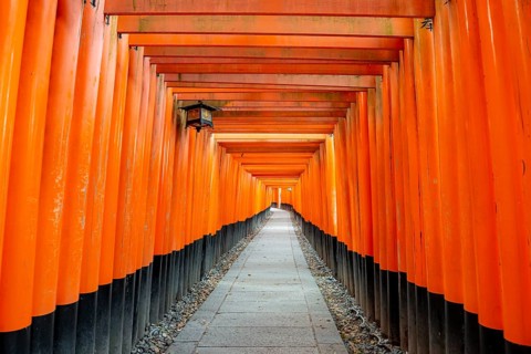 Walk through hundreds of red traditional torii gates, Fushimi Inari Taisha, Shinto Shrine, Fushimi