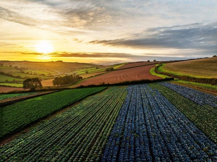 Colours of autumn Fields and Farms over Sheldon from a drone, Torbay, Devon, England, United