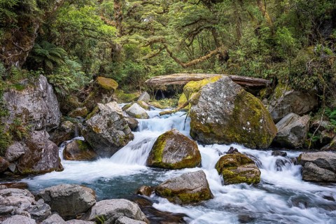 Landscape in New Zealand with river and forest. Waterfalls Marian Falls, Fiordland National Park,