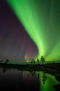Northern Lights (Aurora borealis) reflected in a mountain lake, Norrbotten, Lapland, Sweden,