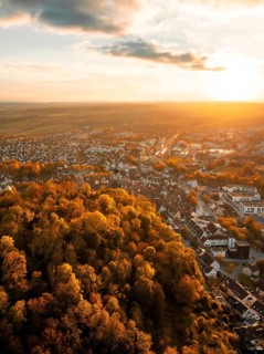 Cityscape in autumn light from above, surrounded by colourful trees at sunset, Herrenberg, Germany