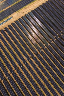 Close-up of densely arranged solar panels that glitter and evenly cover the terrain, Agri PV Bau