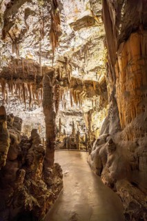 Pathway winding through illuminated stalactites and stalagmites inside postojna cave, a famous