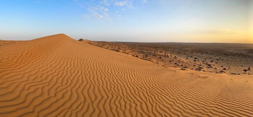 Sand dunes in the Wahiba Sands desert, Oman