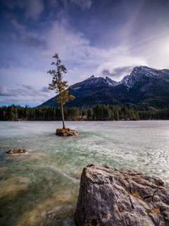 Tree on a small rock in frozen Hintersee, above Hochkalter, Berchtesgaden National Park, Ramsau,
