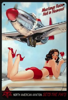 Sign, signs, tin signs, advertising signs, advertisement, nostalgia, old, old, advertising signs,
