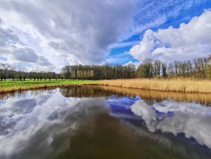 View of small rain with dramatic cloud reflections and horizon line, Nettetal North