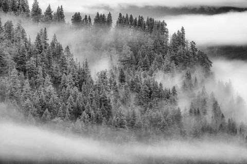 Foggy weather in the mountains, Alvdal Vestfjell, Hedmark, Innlandet, Norway, November 2025
