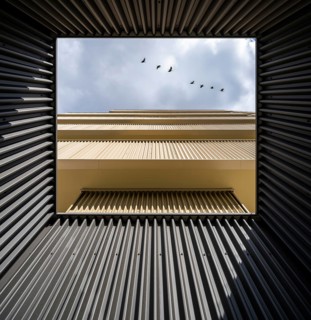 From below unique perspective of a sustainable building showcasing a creative amalgamation of