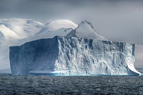 Antarctica, Wedell Sea, Icebergs, South Georgia, Wedell Sea, South Georgia, Antarctica