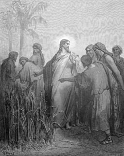 The apostles pick corn on the Sabbath and eat the grains, Matthew chapter 12, verse 1, Jesus