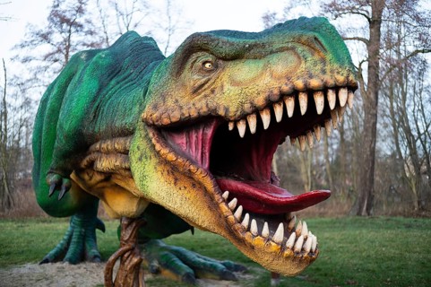 LUBIN, POLAND - DECEMBER 31, 2023 - Realistic model of dinosaur Tyranosaurus Rex in Park Wroclawski