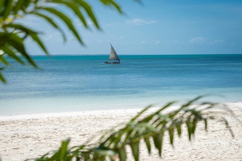 Tropical beach view through green palm leaves of a traditional sailboat on the turquoise Indian