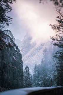 Winter scene with snow-covered trees and a mountain in the fog at dawn, Alpenstraße, Bad