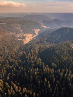 Hilly landscape with dense forest and light coming in from the distance, district of Calw, Black