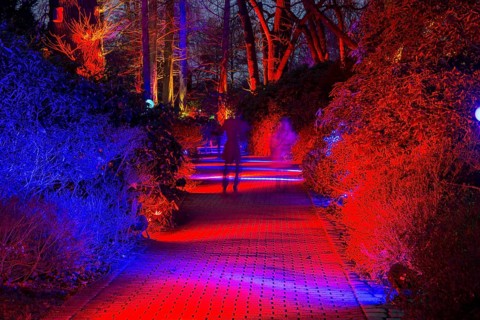 Winter lights in Luisenpark in Mannheim. Every year in January and early February, the park is