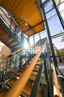 Modern staircase in a building with glass windows and wooden panelling, flooded with sunlight,